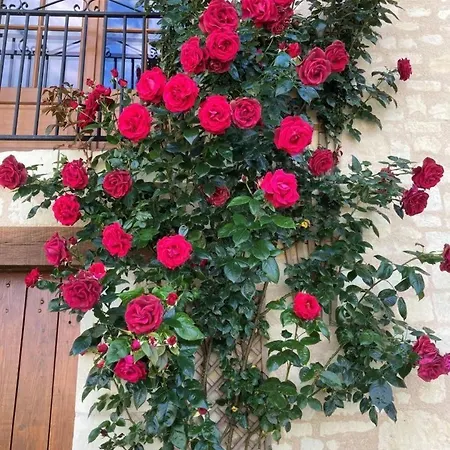 Domaine Du Vernay * Bournand