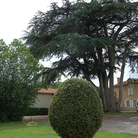 Domaine Du Vernay Bournand