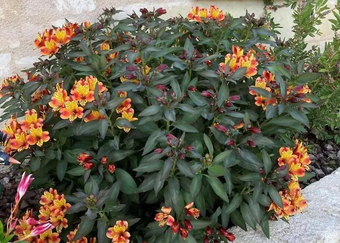 Domaine Du Vernay Holiday home